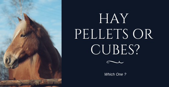 Hay – Pellets or Cubes?